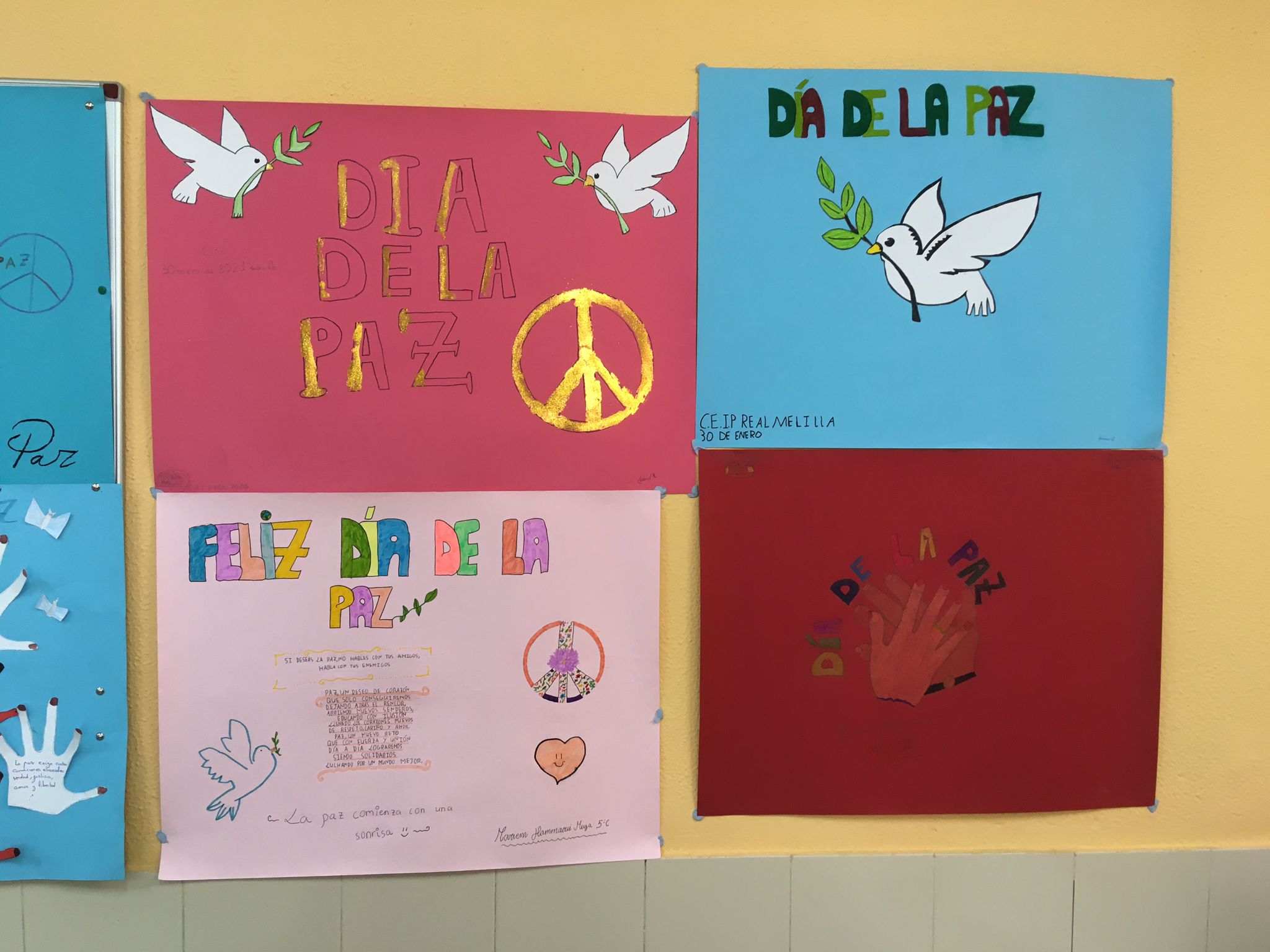 Día de la paz 3